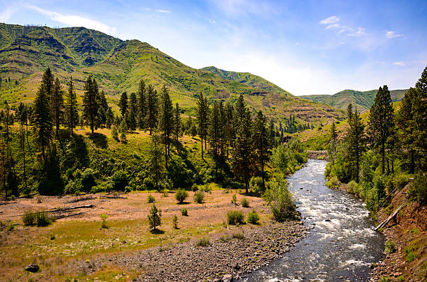 hells canyon national recreation area - snake river canyon stock-fotos und bilder