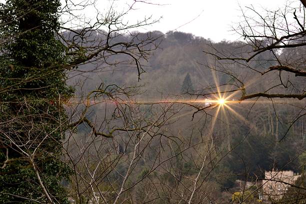 Light Breaking Through stock photo