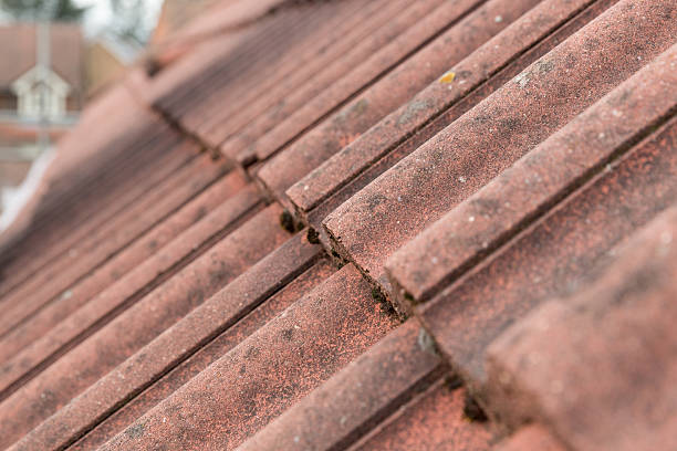 istock house building roof tiles 506819128