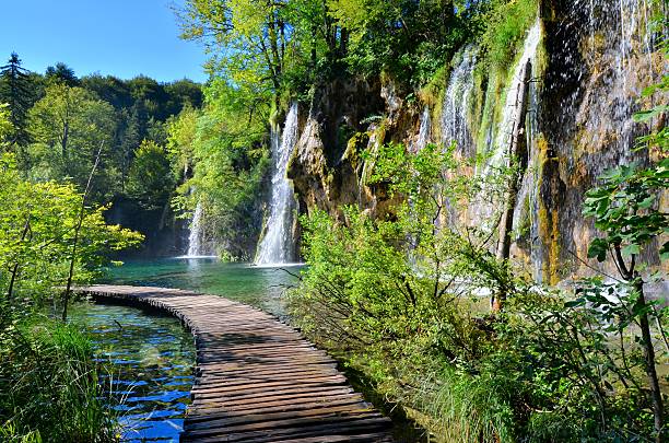 Boardwalk and waterfalls of Plitvice Lakes, Croatia Boardwalk through the waterfalls of Plitvice Lakes National Park, Croatia plitvice lakes national park stock pictures, royalty-free photos & images