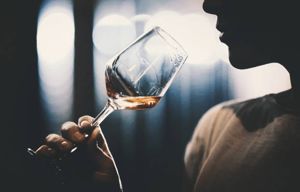 Wine tasting in wine cellar. Closeup of unrecognizable adult man slightly swirling a glass of rose wine under his nose and trying to catch bouquet. She's in a wine cellar, there are blurry metal tanks in background. Backlit