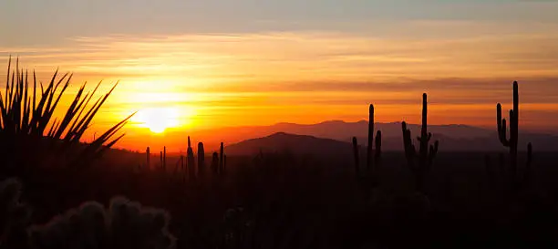 Silhouettes of cacti and mountains during sunset in Arizona USA.
