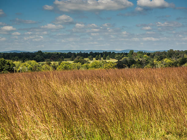 looking out over an expanse of the Civil War Manassas Battlefield in Virginia, USA