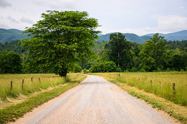 istock Great Smoky Mountains National Park 506823344