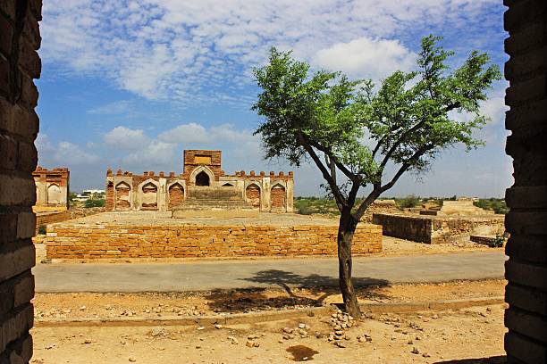 гробница и дерево - makli стоковые фото и изображения