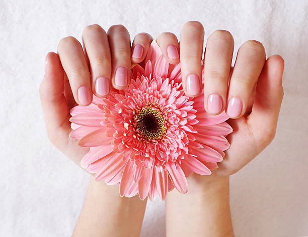 istock female hands in salon 506827400