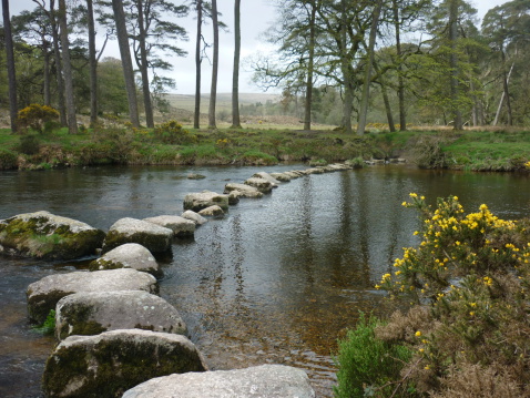 Stepping Stones over a stream in Dartmoor.