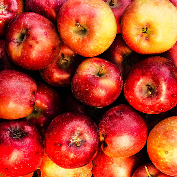 istock Red ripe apples may use as summer fruit background 506840787