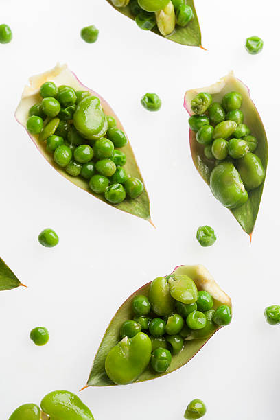 Pea and broad bean salad on artichokes leaves