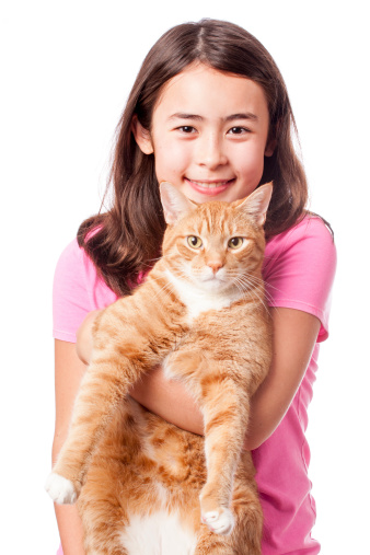 A happy pre-adolescent girl holding a large orange tabby cat, isolated on white.
