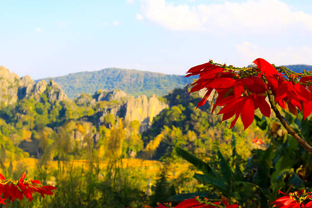 Panorama island, hill, mountain isolated on a white background. Used for graphics