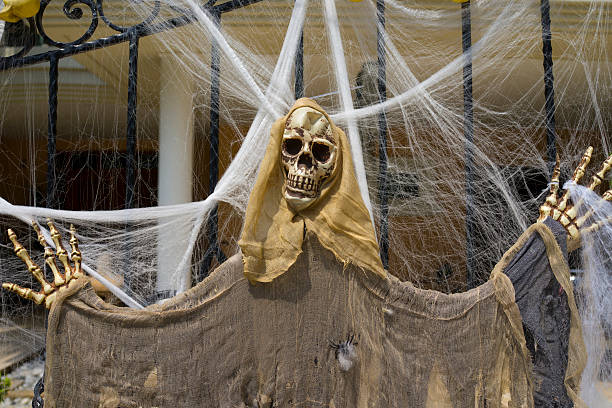 istock Skeleton and spder web Halloween decoration on gate 506845399