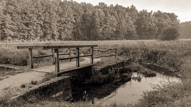 istock Vintage Wooden Bridge 506845765
