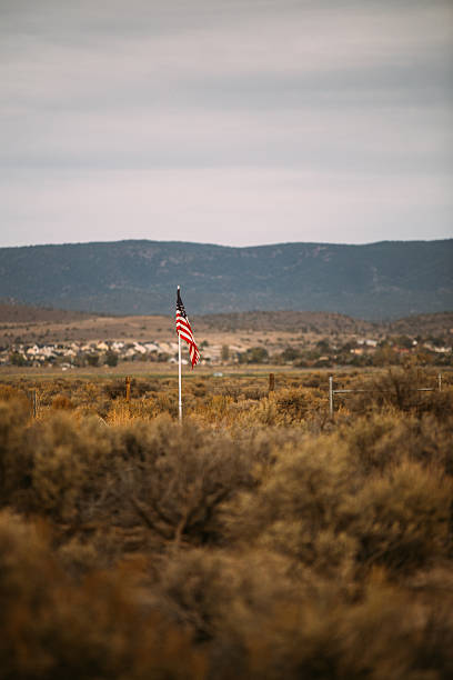 istock Lone american flag in a field 506846842