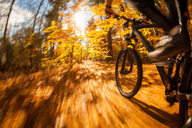 istock Mountain biking on a bright and crisp day 506847306