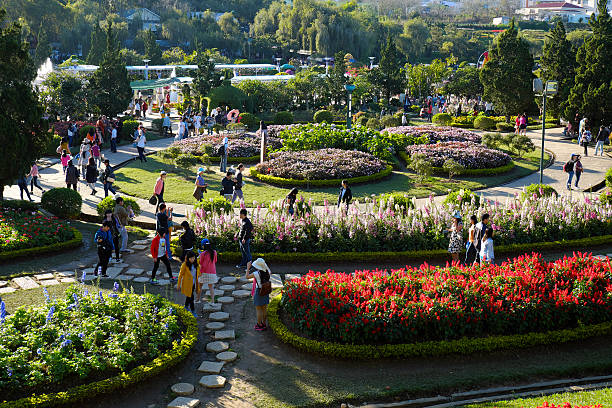 Crowded,  Dalat flower park, festival, spring, tourist Da Lat, Viet Nam- January 1, 2016: Crowded scene at Dalat flower park at flower festival in spring, group of traveler visit nature garden on holiday, pure atmosphere make tourist enjoy,  Vietnam, Jan 1, 2016 dalat photos stock pictures, royalty-free photos & images