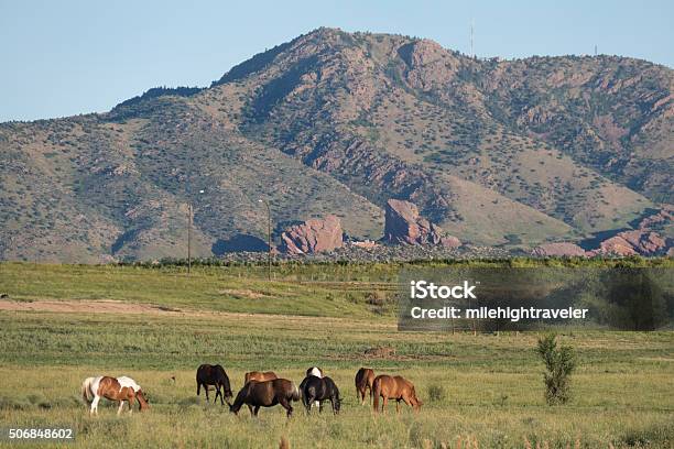Grazing Horses With Mount Morrison Red Rocks Colorado Stock Photo - Download Image Now