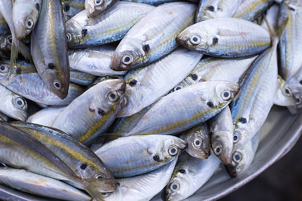 istock Fresh fishes in a market. 506850096
