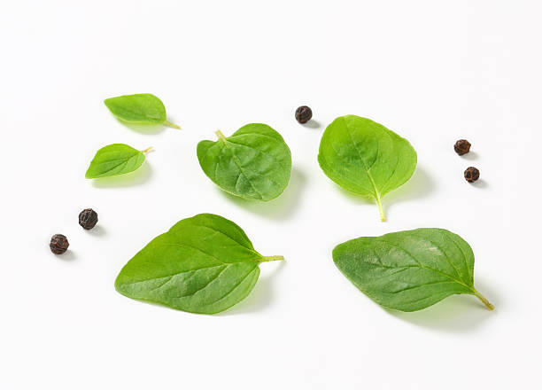istock Fresh oregano leaves and peppercorns 506854194