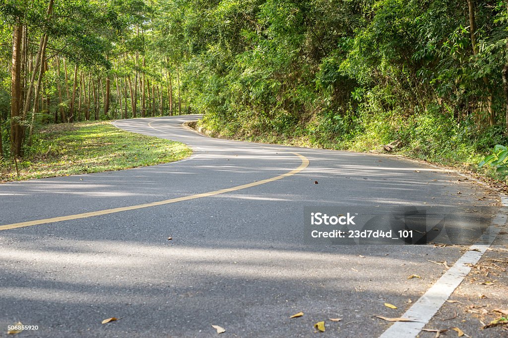 winding road in forest. Arts Culture and Entertainment Stock Photo