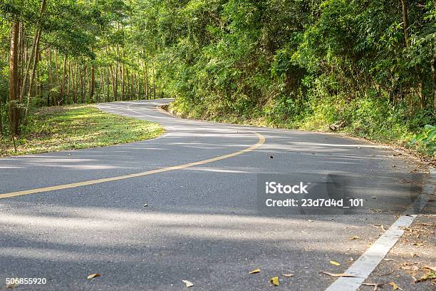 Winding Road In Forest Stock Photo - Download Image Now - Arts Culture and Entertainment, Asphalt, Autumn