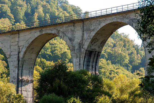 istock Railway bridge between mountains with lots of trees and grass 506856064