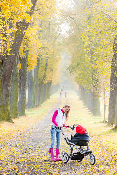 istock woman with a pram 506856646