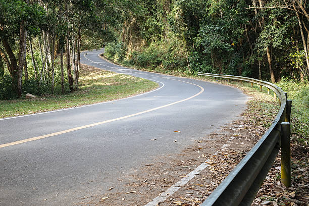 carretera con curvas en el bosque. - country park fotografías e imágenes de stock