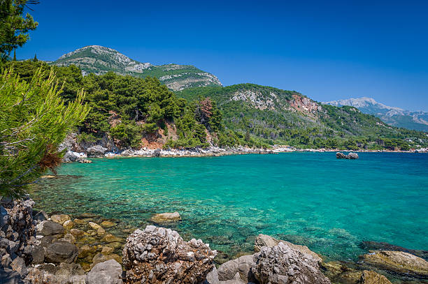 adriatic sea coast view - bar 個照片及圖片檔