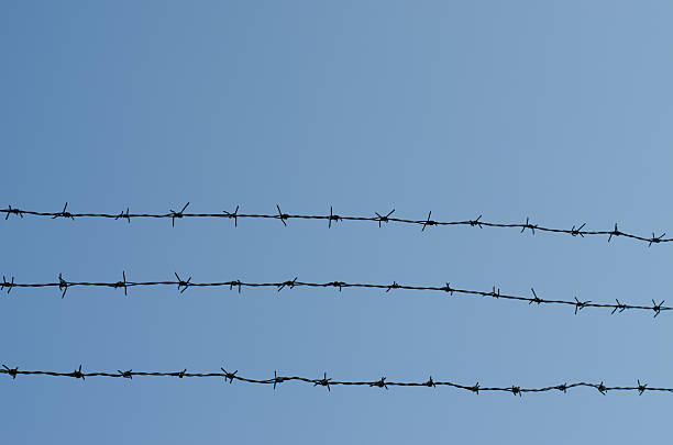 istock Barb wire fence and blue sky blackground 506857872
