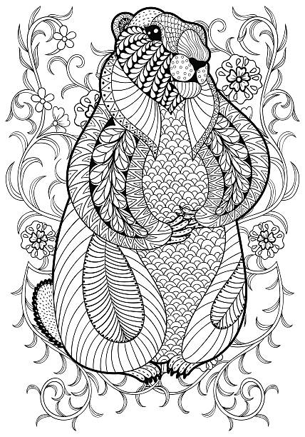 Hand drawn artistic Marmot, Groundhog in flowers for adult color Hand drawn artistic Marmot, Groundhog in flowers for adult coloring page A4 size in doodle, style, ethnic ornamental patterned print, monochrome sketch. Floral printable vector illustration. adult coloring pages mandala stock illustrations