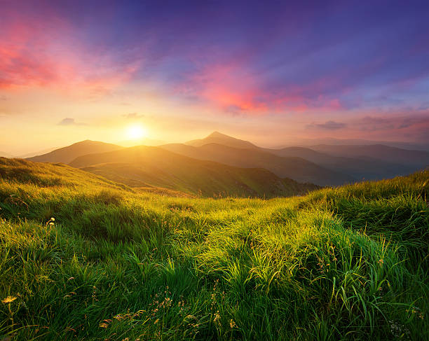 山の夕暮れ - mountain sunset heaven flower ストックフォトと画像