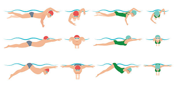 ilustraciones, imágenes clip art, dibujos animados e iconos de stock de ilustración de la piscina. dibujo vectorial - braza