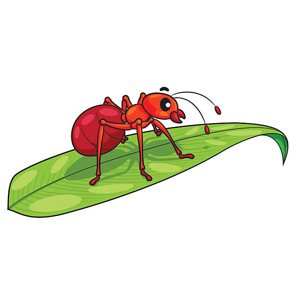 Ant Cartoon Stock Illustration - Download Image Now - Leaf, Ant, Animal -  iStock