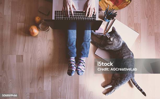 Creative Workspace Stock Photo - Download Image Now - Laptop, Domestic Cat, Pets