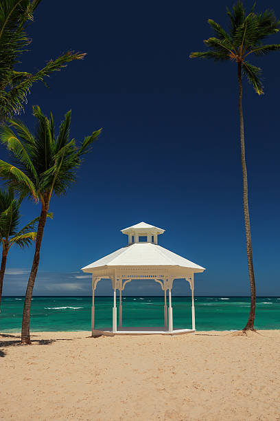 istock Wedding set up and palm trees on tropical island 506871206
