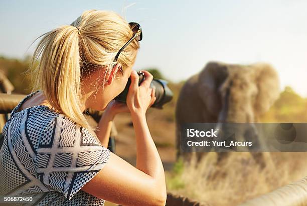 Capturing Wildlife Stock Photo - Download Image Now - Safari, Africa, Women