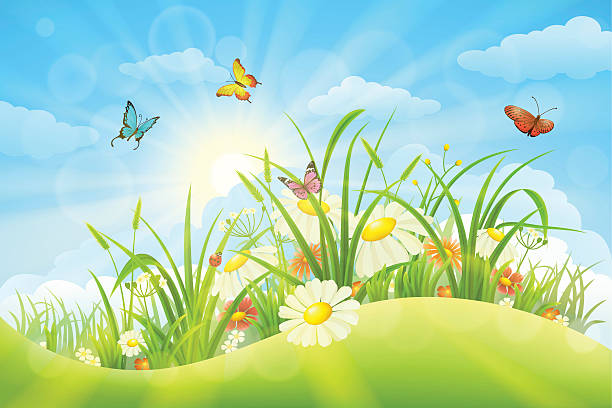 Summer sunny background Spring summer meadow background with grass, flowers, sun and butterflies grass vector meadow spring stock illustrations