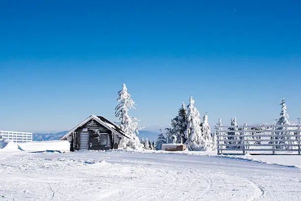 Vacation rural winter background with small wooden alpine house, white pines, fence, snow field, mountains, blue sky, copy space