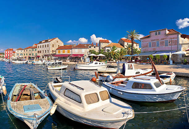 stari grad wasser im sommer - europe pine tree sea adriatic sea stock-fotos und bilder