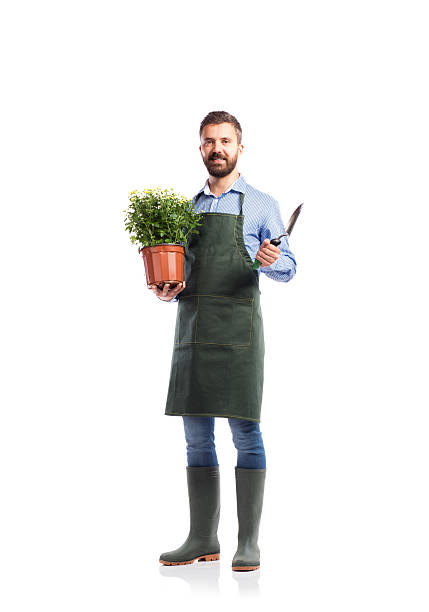 Young handsome gardener Young handsome gardener in green apron. Studio shot on white background gardening stock pictures, royalty-free photos & images