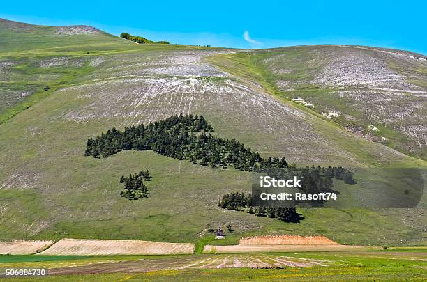 Italy Trees In Castelluccio Of Norcia Stock Photo - Download Image Now - Blue, Castelluccio, Color Image