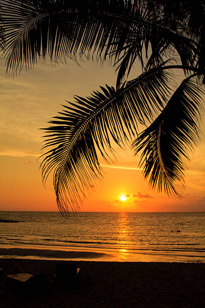 istock Sunset on the tropical beach 506884918