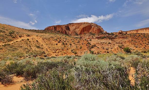 istock Desert  Landscape 019 506886143