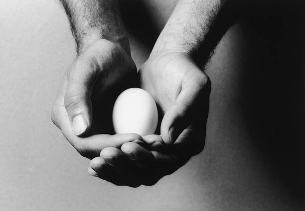 Two Hands Holding Egg