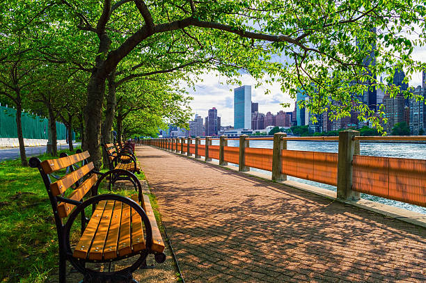 Summer View East River A walking path along the East River with nice views of Manhattan from Roosevelt Island. roosevelt island stock pictures, royalty-free photos & images