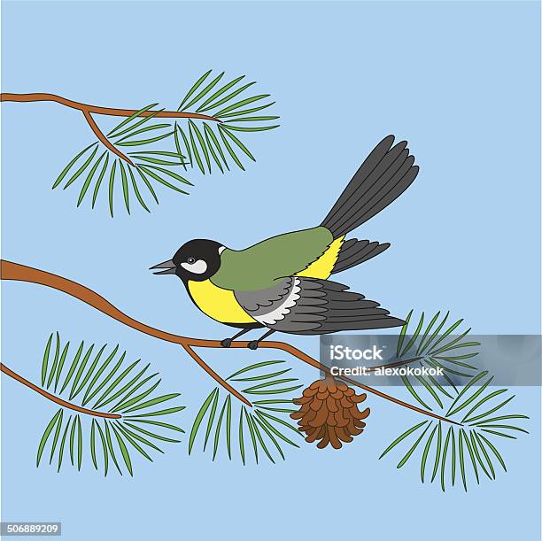 Titmouse On Pine Branch Stock Illustration - Download Image Now - Animal, Animal Body Part, Animal Wildlife
