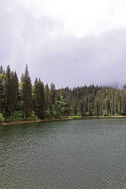 istock Mountain forest lake with a stormy sky 506889292
