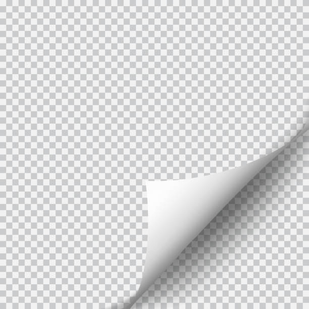 Back Off Vector Art Icons And Graphics For Free Download Back Off Vector Art Icons And Graphics For Free Download