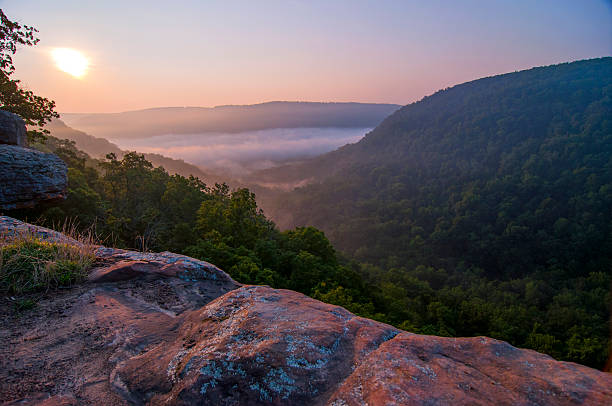 Overlooking a National Forest in Arkansas The sunrise view on top of Whitaker Point (Hawksbill Crag) in the Upper Buffalo Wilderness, Arkansas arkansas stock pictures, royalty-free photos & images